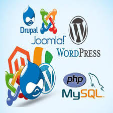 E-Commerce Online Internship and E-Commerce Course with Certificate - Image 5